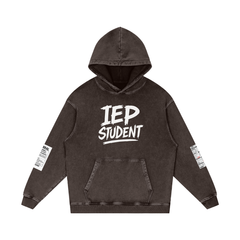 THE BEHAVIOR PLAN HOODIE — image 5