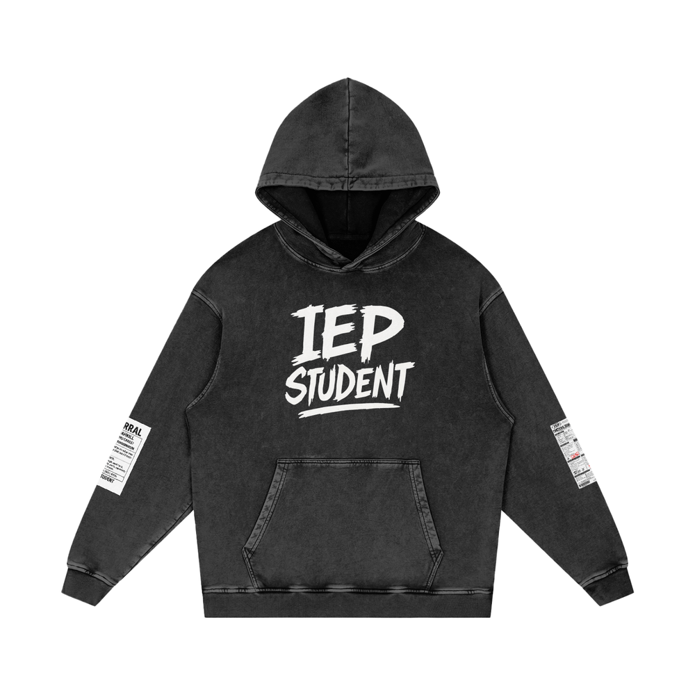 THE BEHAVIOR PLAN HOODIE